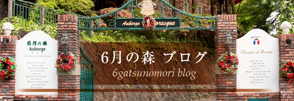 6月の森 ブログ